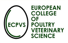 logo-ECPVS